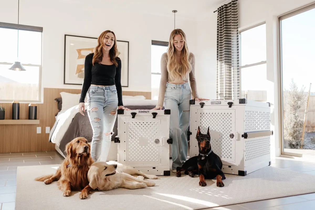 Puppy Starter Kit: 12 Essential Supplies for the First Month